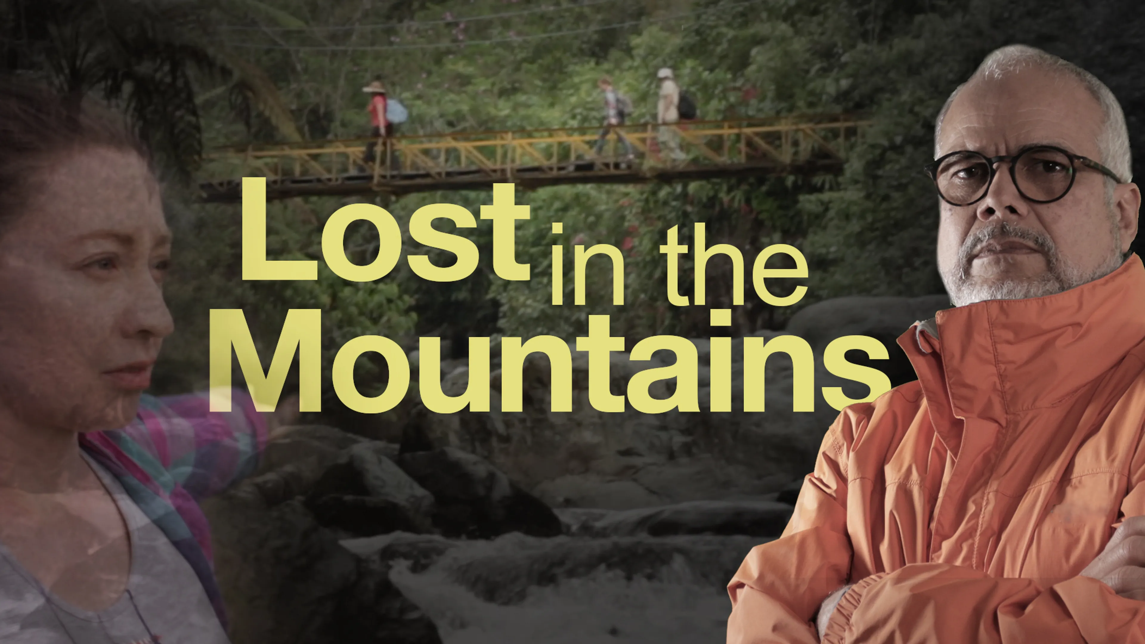 Lost in the Mountains poster